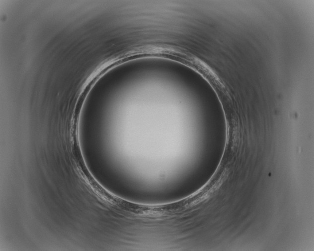 X0000086291178200703301128