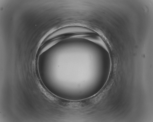 X0000086291181200703301128