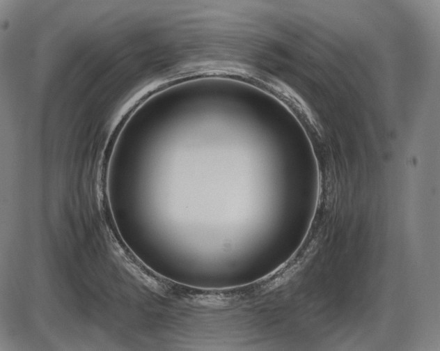X0000086291182200703301128