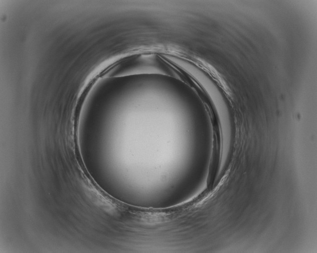 X0000086291184200703301128