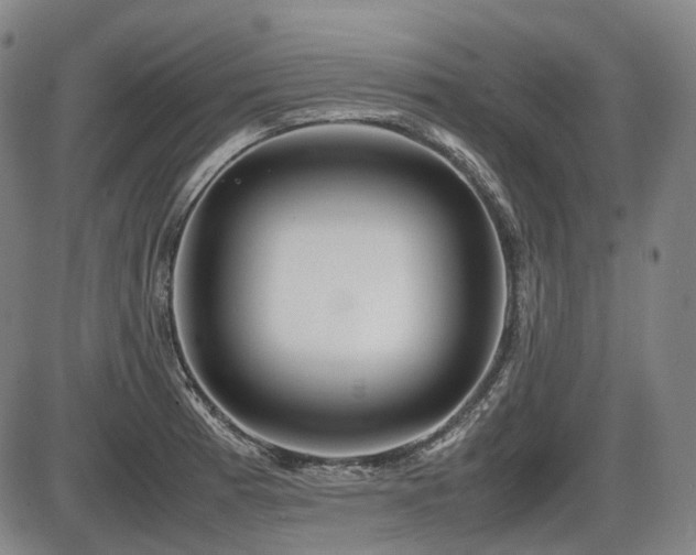 X0000086291185200703301128