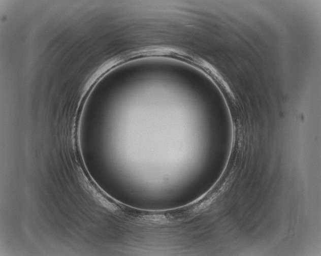 X0000086291186200703301128