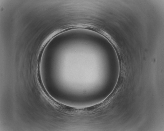 X0000086291187200703301128