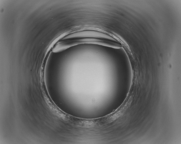 X0000086291190200703301128