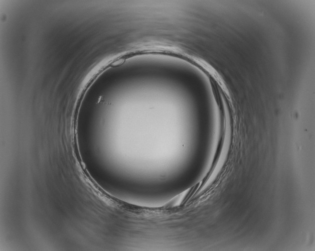 X0000086291191200703301128