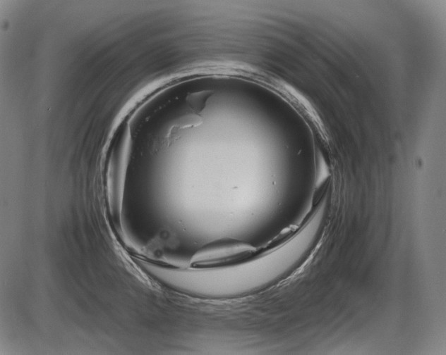 X0000086291192200703301128