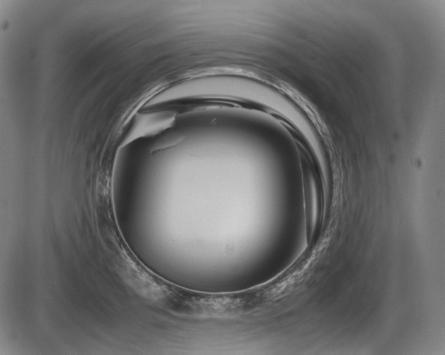 X0000086291193200703301128