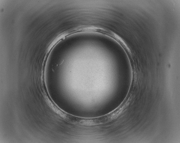 X0000086291194200703301128