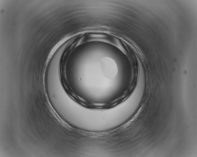 X0000086291196200703301128