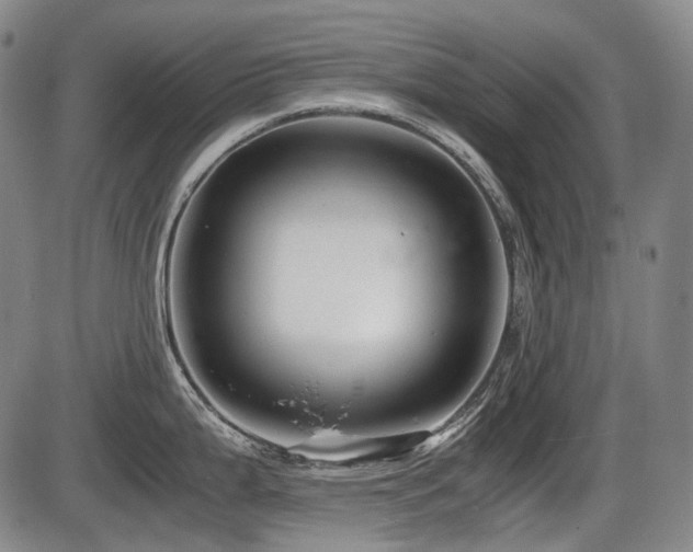 X0000086291199200703301128