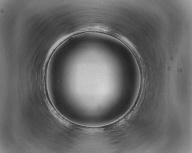 X0000086291200200703301128