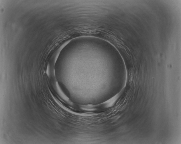 X0000086291202200703301127