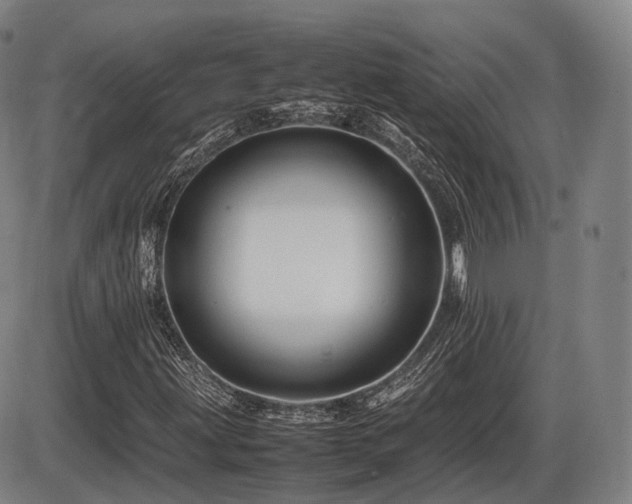 X0000086291203200703301127