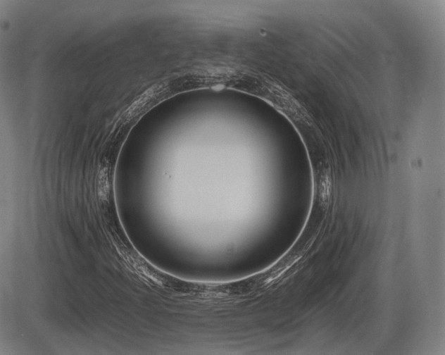 X0000086291204200703301127