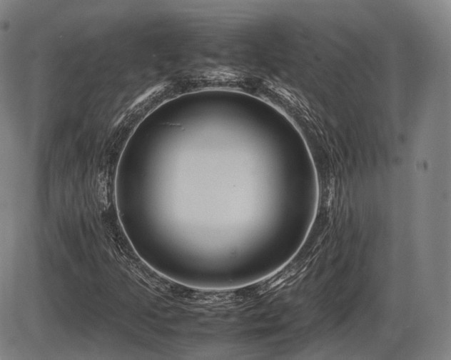 X0000086291205200703301127