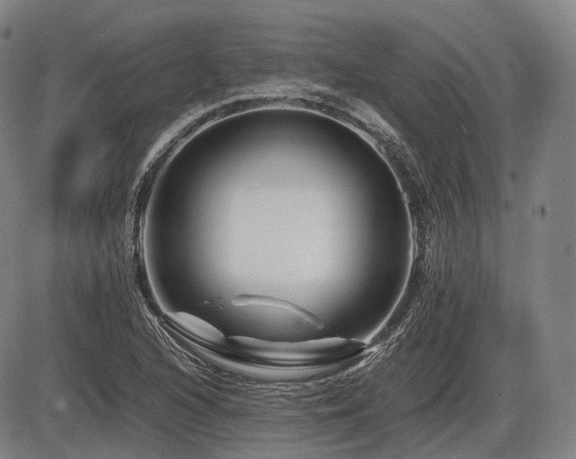 X0000086291216200703301127