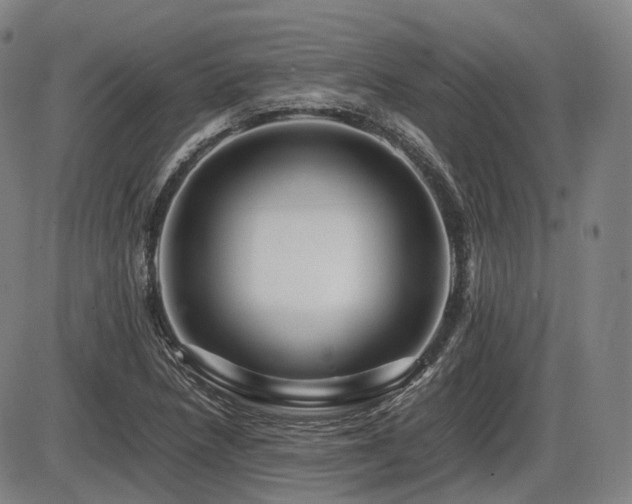 X0000086291218200703301127