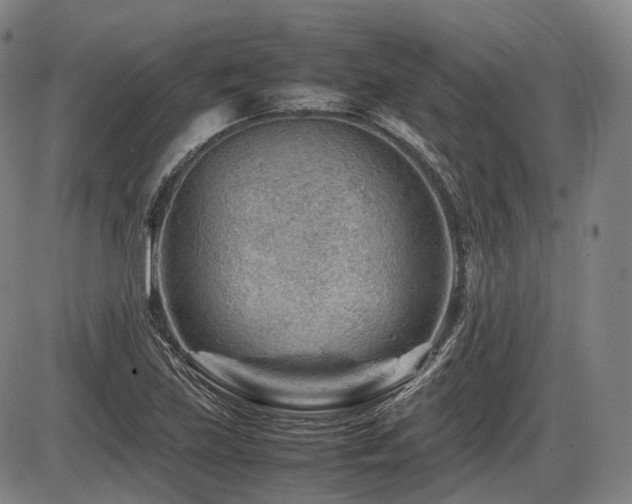 X0000086291219200703301127