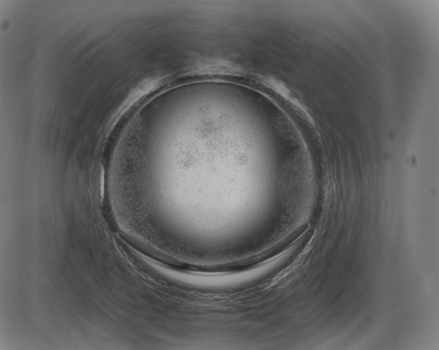 X0000086291221200703301127