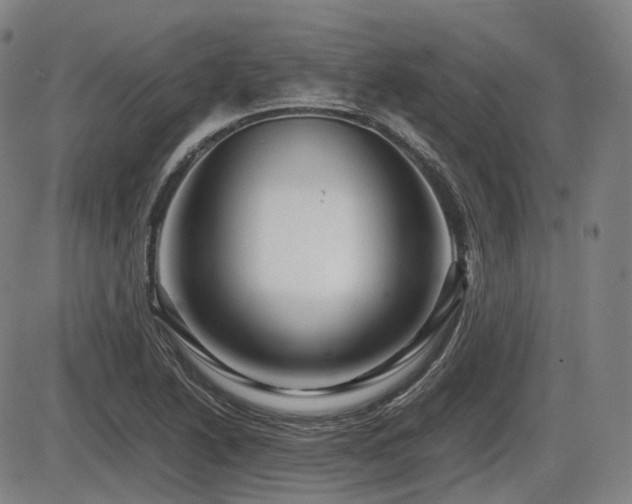 X0000086291222200703301127