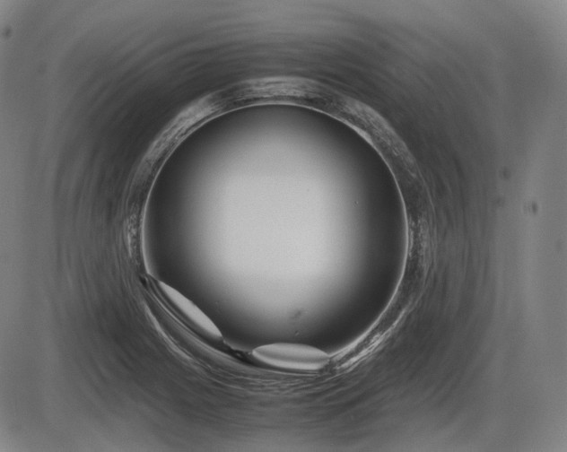 X0000086291225200703301127