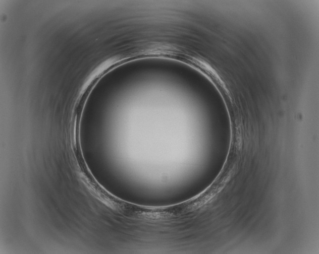 X0000086291227200703301127