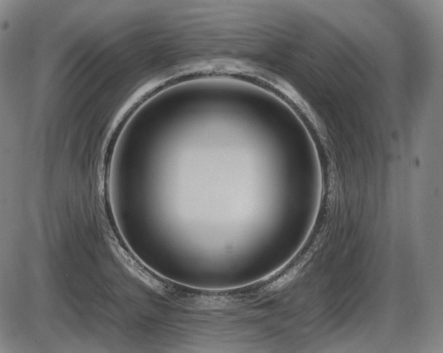 X0000086291232200703301127