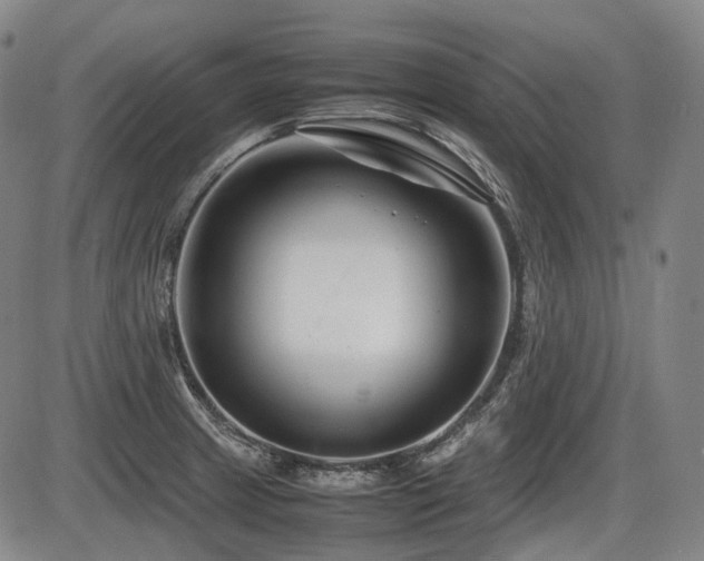 X0000086291233200703301127