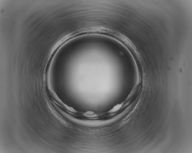 X0000086291234200703301127