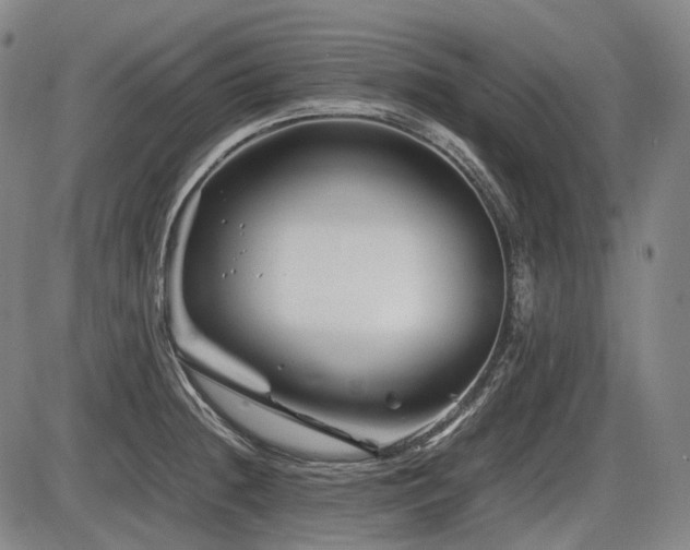 X0000086291236200703301127