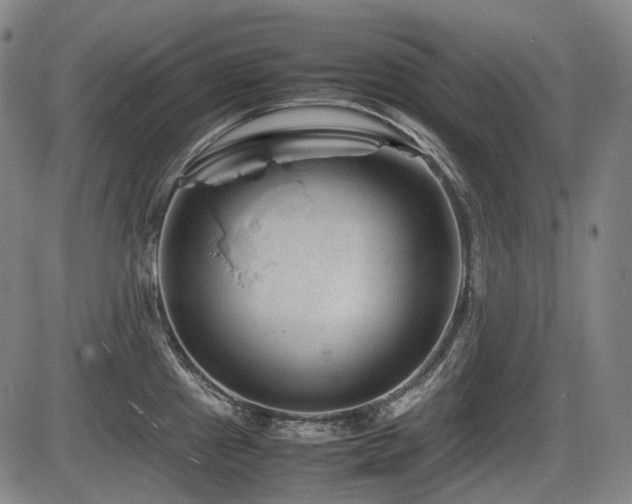 X0000086291241200703301127