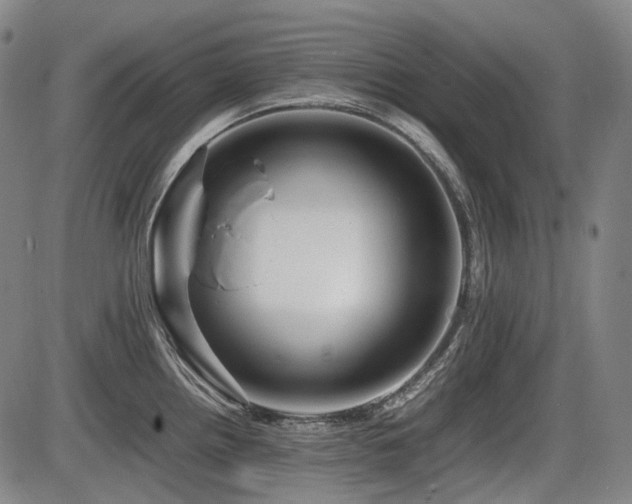 X0000086291242200703301127