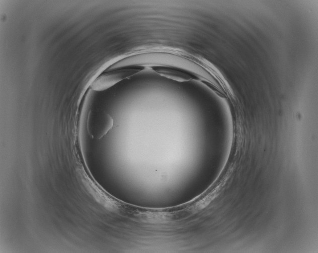 X0000086291244200703301128