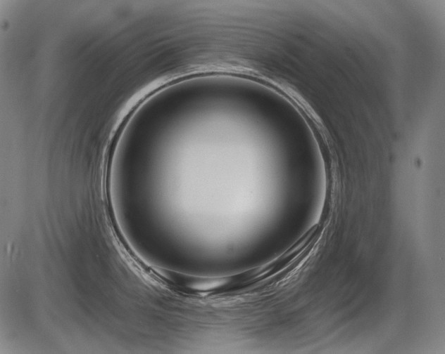 X0000086291246200703301128