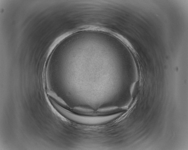 X0000086291247200703301128