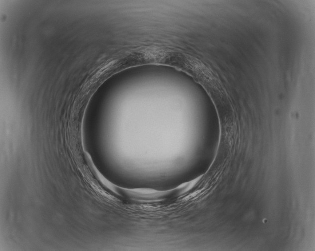 X0000086291249200703301127