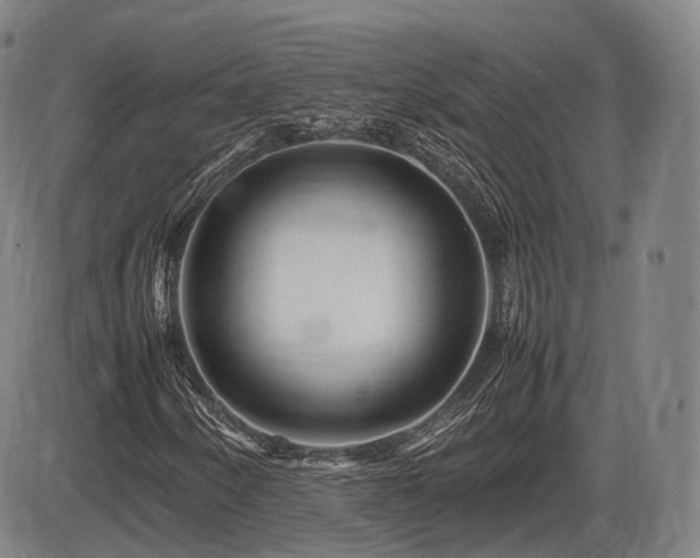 X0000086291250200703301127