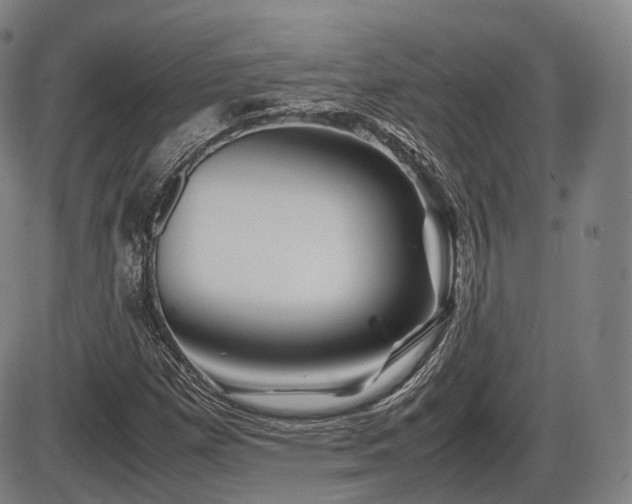 X0000086291257200703301127