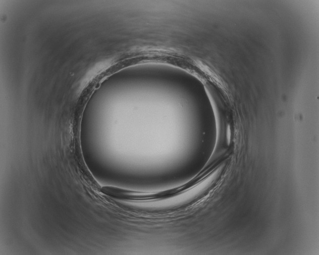 X0000086291261200703301127