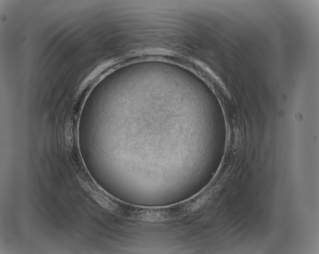 X0000086291266200703301127