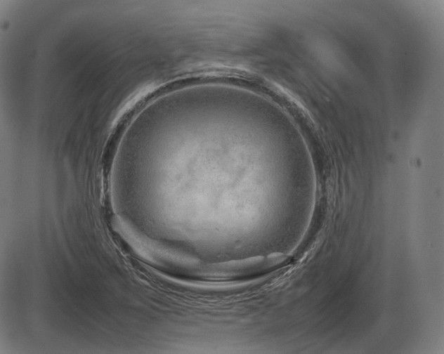 X0000086291267200703301126