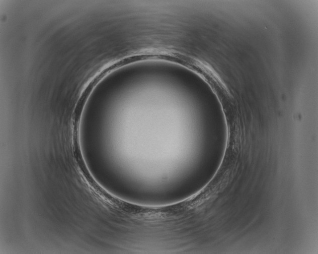 X0000086291268200703301126
