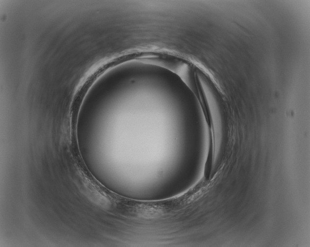 X0000086291270200703301126