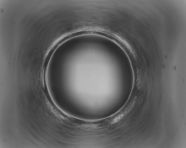 X0000086291272200703301126