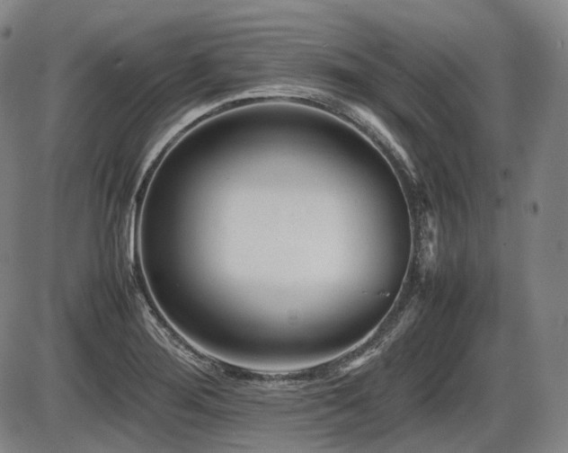 X0000086291276200703301126