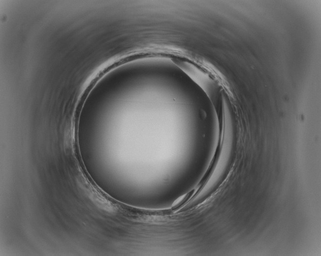 X0000086291280200703301126