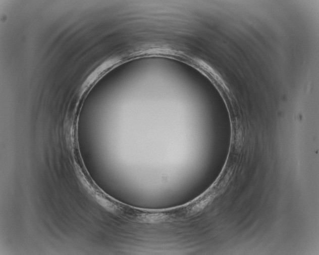 X0000086291282200703301126