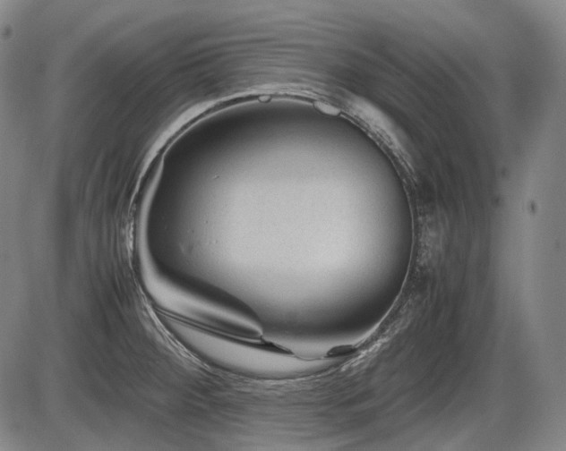 X0000086291284200703301126