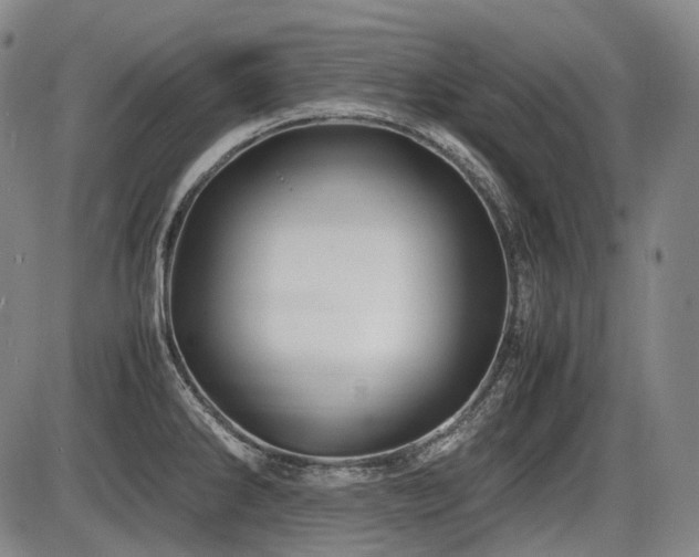 X0000086291286200703301126
