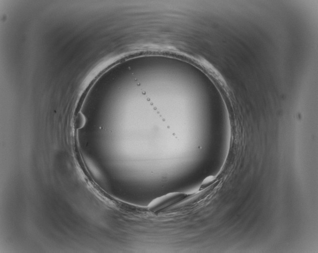 X0000086291287200703301126